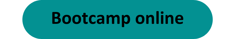 Bootcamp hybrid (2)